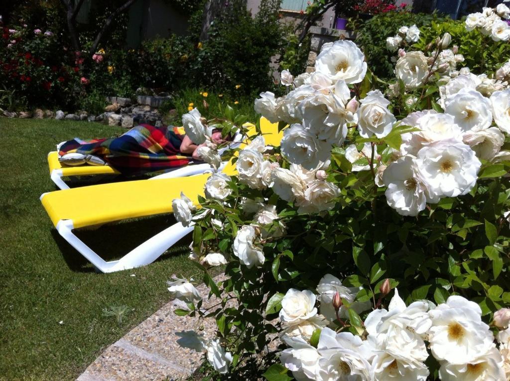 Le Grand Jardin Bed & Breakfast Lafare Luaran gambar